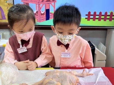 低班主題活動-動物