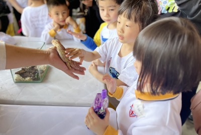 491958067_1083976150416534_3640205894180560478_n