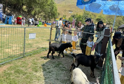 491992446_1083984757082340_2395043789925688190_n