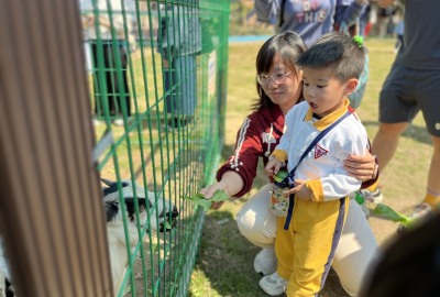 492009597_1083975290416620_3338207634603733152_n