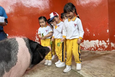 492324700_1083977273749755_8591279938812892195_n