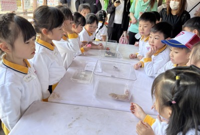 492561481_1083977627083053_1653402528004210383_n