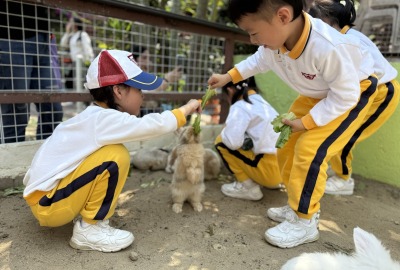 493156396_1083974713750011_7957417203627899434_n