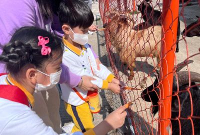 332699070_902342830973919_3082847989510090746_n