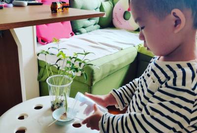 imgi_24_276160674_1308673836280454_422499789433939373_n