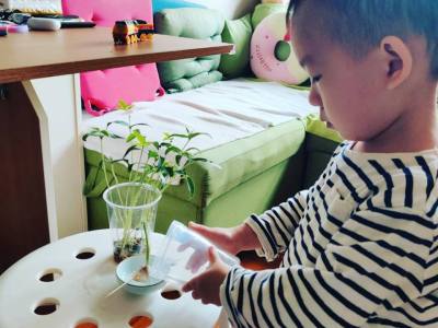 特別任務之特別假期