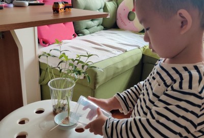 imgi_3_279376161_1331111850703319_8513049141779779138_n