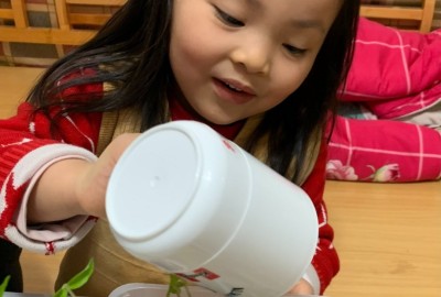 imgi_8_279065382_1331111840703320_2860569059290323175_n