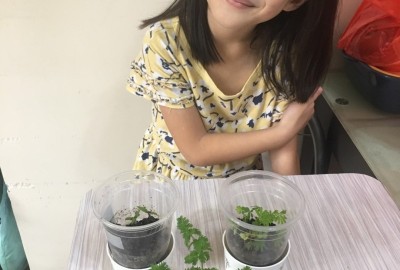 imgi_9_279052082_1331111830703321_1919964536549557372_n