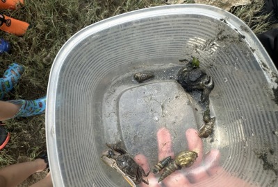 500710629_1111520147662134_4077199343427252343_n