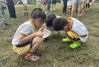 501528939_1111517560995726_8473175572908893111_n