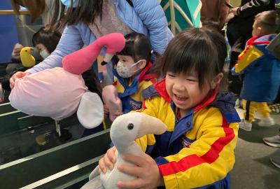 473620790_1010062311141252_3801696749532922705_n