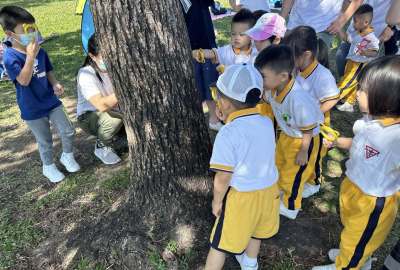 464870777_957293286418155_8114364882526294534_n