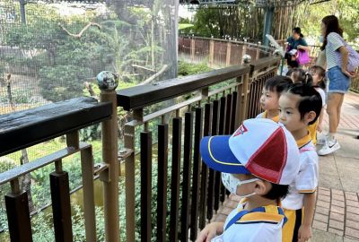 396250070_724835632997256_4876744952154118483_n