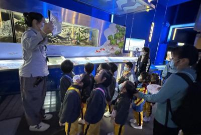 416277733_762756532538499_2459101242670734458_n