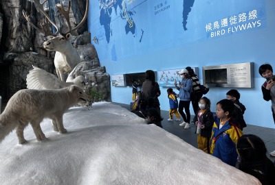 417129102_762749409205878_768511936177117785_n