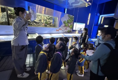 417743521_762748329205986_4746412727464217810_n