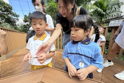 463306219_945384030942414_4680112545583807537_n