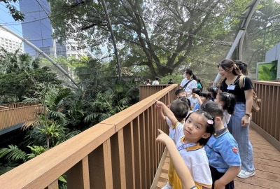 463364340_945384054275745_5049184455287250732_n