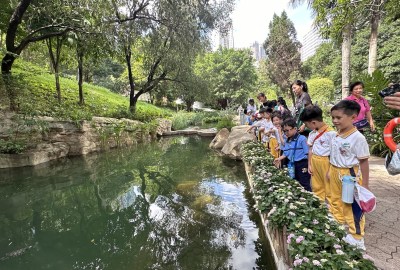 463404147_945383654275785_8718345459413586105_n-1