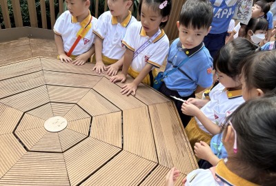 463593762_945383367609147_9023018931651230166_n-1