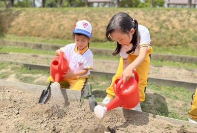 492553595_1086578213489661_454247878356629751_n