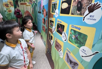 492942905_1086576733489809_7987974371245095810_n