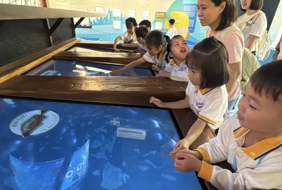 493256757_1086575750156574_7335099241193609248_n