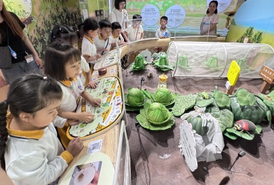 493311323_1086577140156435_5692572524777816688_n