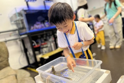 495298307_1096437819170367_1242714931440218164_n