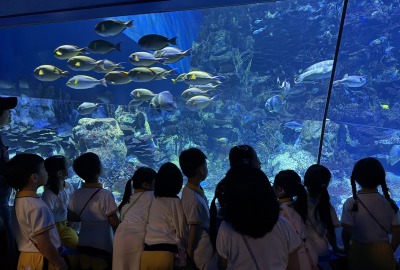 495570792_1096433179170831_1512106511624737930_n