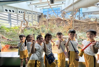 496701324_1096439209170228_3711694356910833833_n