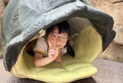 496706359_1096435702503912_75473495517253776_n