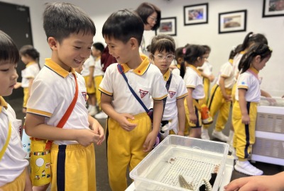 496864761_1096436459170503_5507158104329778674_n