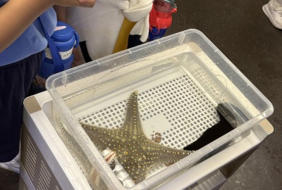 496943330_1096432655837550_2690437371612005480_n