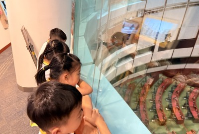 519935252_1146903930790422_7021969344646015443_n