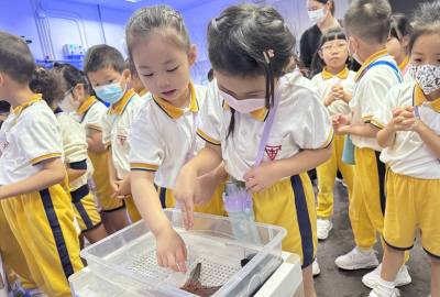 448485492_865398345607650_6804147597637842678_n