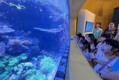 448815202_865398622274289_7077048584698622712_n