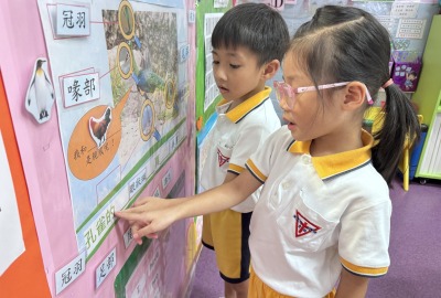 465717152_959878032826347_4045806059903297372_n