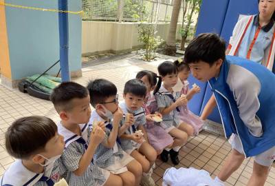 449066844_868784678602350_3409000095412163813_n