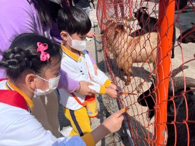 School Trip-Sha Tau Kok Farm